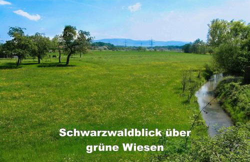 Ferienhaus Schwarzwald bei Straßburg Europapark für 12 Personen auf 160qm - Foto 26