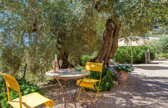 Es Seguers - Foto 24