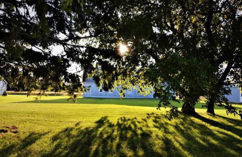 Carraig Dale Cottage - Foto 23