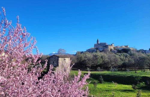 Studio provençale - Foto 13