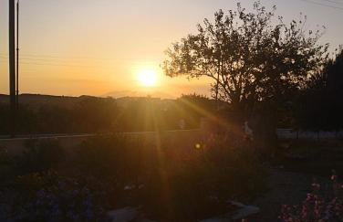 The Garden House - Foto 16