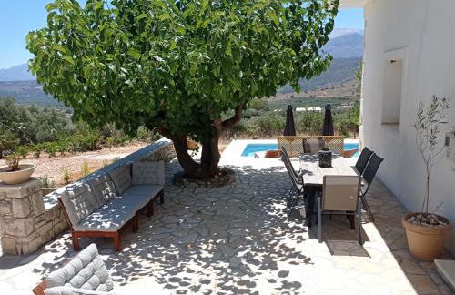 PALACE Mountain view - Foto 17