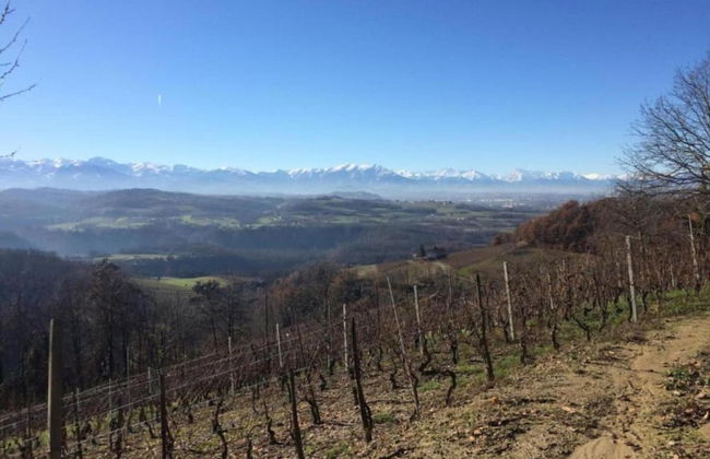 Mansion in Langhe With Pool and Winery Charm - Foto 34