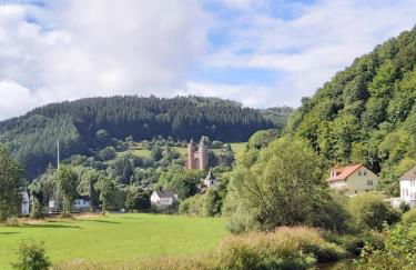 die rote Ente - Foto 12