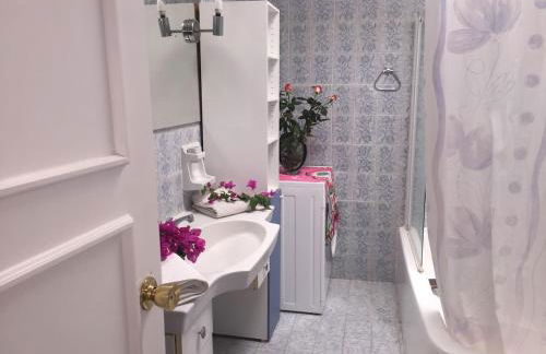 marazul del sur - Foto 20