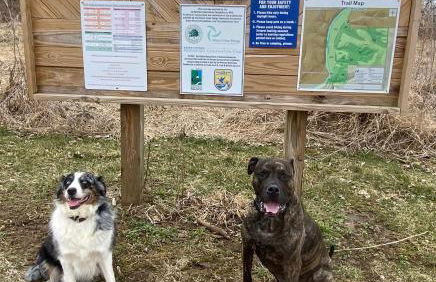 The Farmhouse ranch - Foto 32