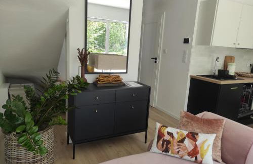 Źródlana Apartamenty - całoroczne domy na wyłączność - Foto 5