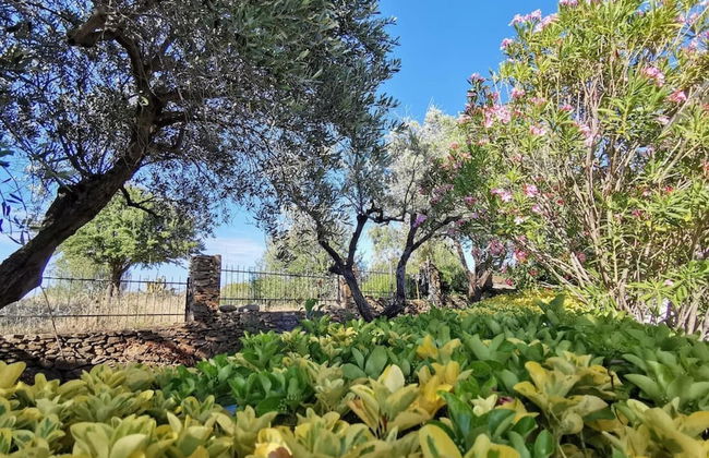 Welcomely - La Casa Di Rita - Lu Nibbaru - Photo 2