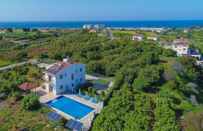 Villa Leda Finiki in Latchi - Foto 13