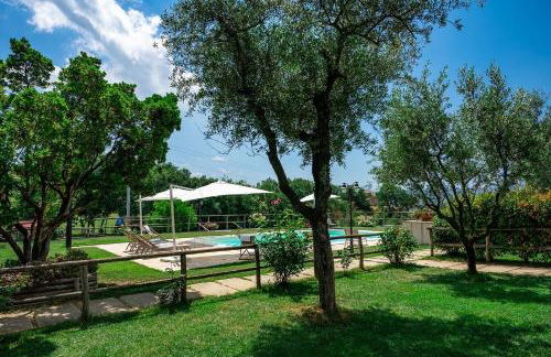 Montenovo Country House - Foto 28