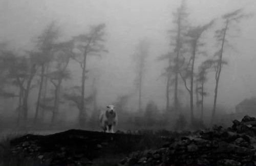 The Hayloft. Entire Barn Conversion near Keswick - Foto 51