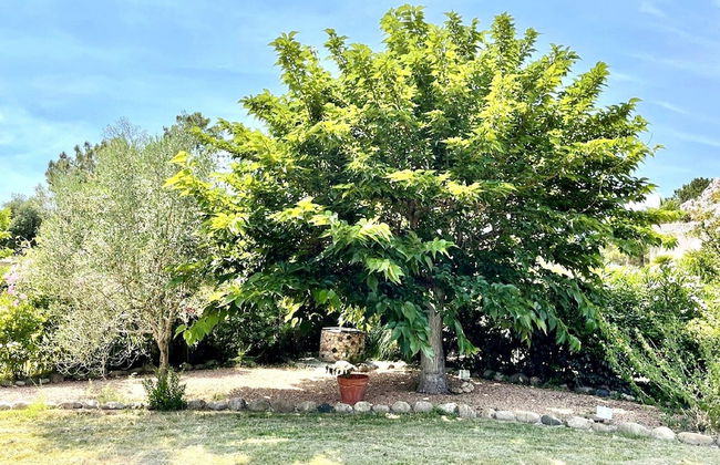 Majestic Villa in Lecci With Garden - Foto 28