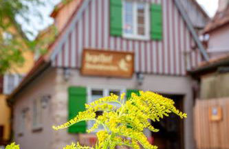hezelhof´s Hexenhäuschen - Foto 19