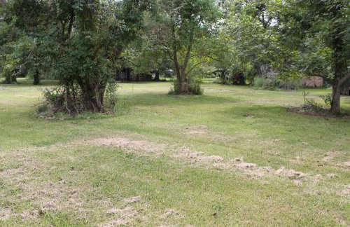 Countryside Bliss - Entire Home on 2 Acres - Foto 24