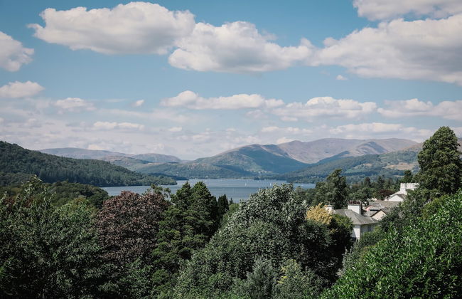 Cherry Trees - Foto 67