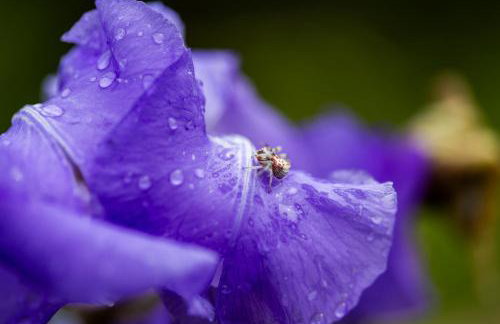 Kuća za odmor Divna MaTi - Foto 37