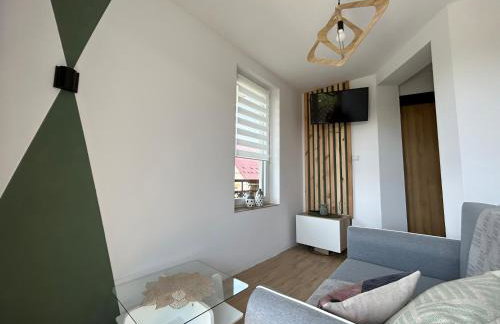 APARTAMENTY Adamcykówka blisko stoku Czorsztyn-Ski! Jacuzzi i Sauna w cenie! - Foto 62