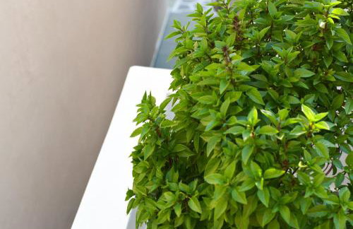 Casa terrazzo - Foto 27