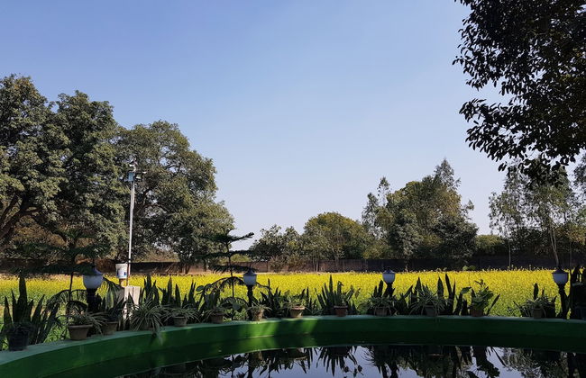 Koko's Farm - Foto 37