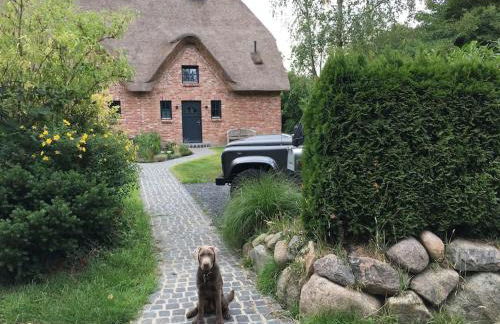 Reetdachhaus bei St Peter-Ording - Tating - Foto 29