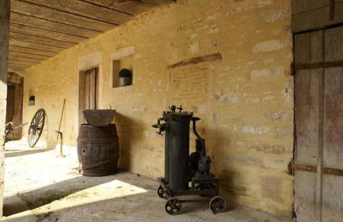 Gîte de la corgette - Foto 9