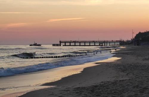Domki Letniskowe U Żuni - Foto 18