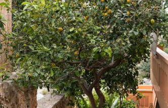 Villa Androniki - Foto 39