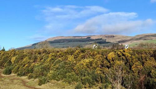 Half Pint Cottage - Foto 4