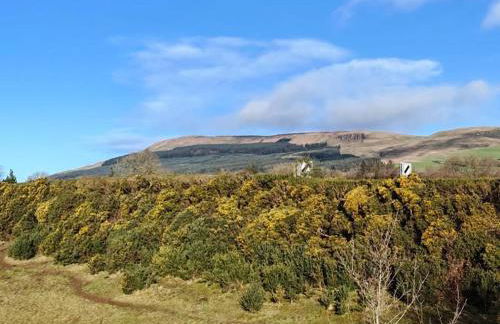 Half Pint Cottage - Foto 4