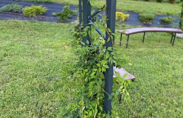 Białe Żagle Mazury - Foto 24