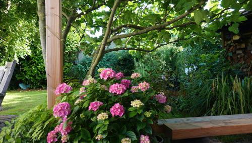 Ferienwohnung Guddat - Foto 4, Garden