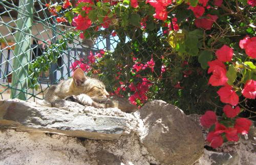 El Tangaro - Foto 46