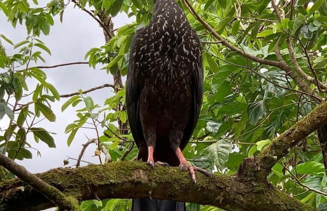 TIPS Vacation - Foto 59