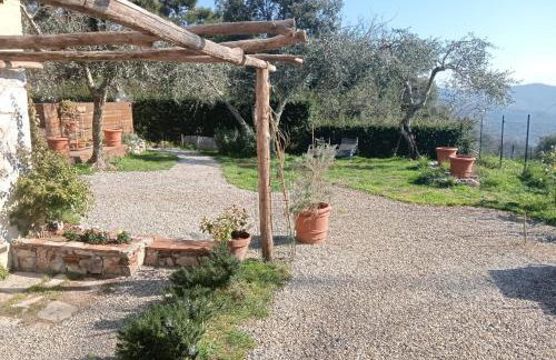 Casa Collicello relax - Photo 17