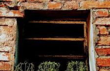 Piccolo Recanto - Foto 11