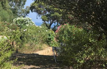 CALABRIA- CASA SUL MARE La Camilluccia - Foto 40