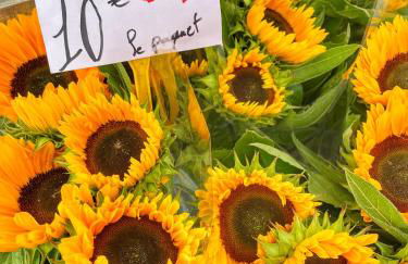 La Terrasse - Entire townhouse in hilltop village - Foto 36