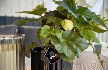 Uno z Balią Kopalino - Foto 39