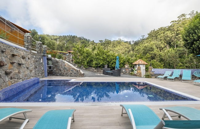 Casas Maravilha - Rvore by Homie - Foto 40