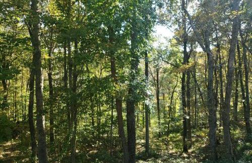 The Frontier - An Amish Built Deluxe Cabin - Foto 13