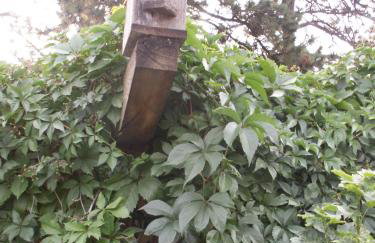 Whitebird Summit Lodge - Foto 37