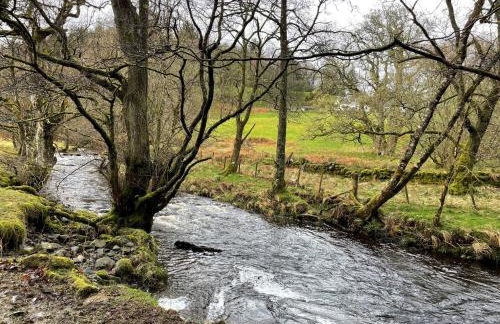 Kenmure Kennels - Foto 43