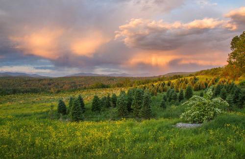 Experience the Rocks Estate like never before with a stay at the Gardeners Cottage! - Foto 63