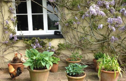 Beautiful Devon Farmhouse - Foto 12