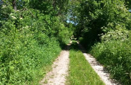 Ferienwohnung Wroblewsky - Foto 23