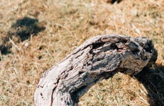 Apolithon Premium Houses - Photo 33