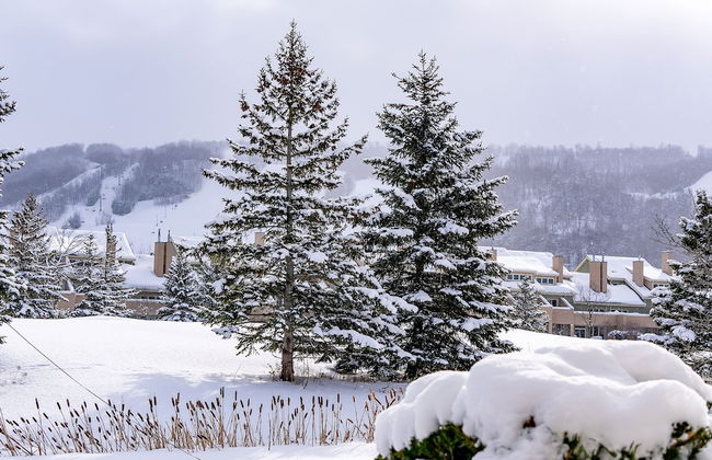 Blue Mountain - Photo 44