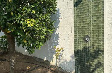 Lezíria Houses - Ribatejo - Foto 49