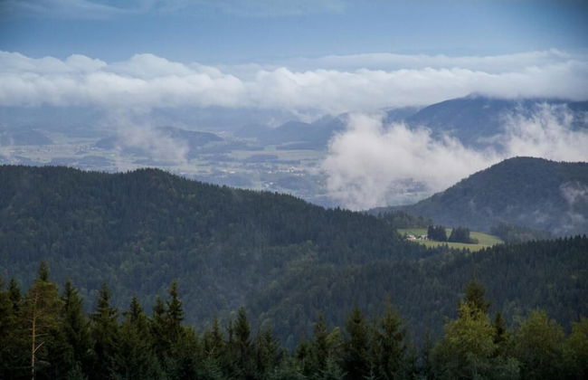 Apartment Sara - Foto 11