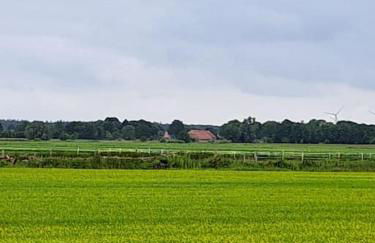 Ferienhaus Twietens - Photo 13